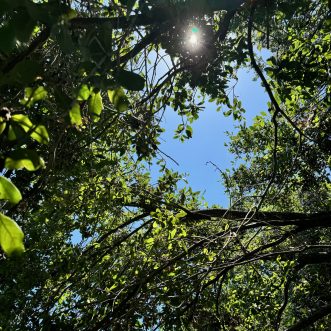 Deuteronomy 27: Slowing Down