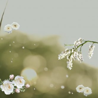 Redefining Godliness – Beyond Proverbs 31