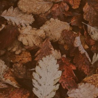 Redefining Godliness: Sexual Purity