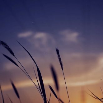 Redefining Godliness: Power of Prayer